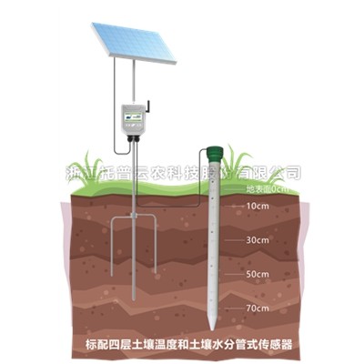 管式好色视频APP污视频墒情監測站