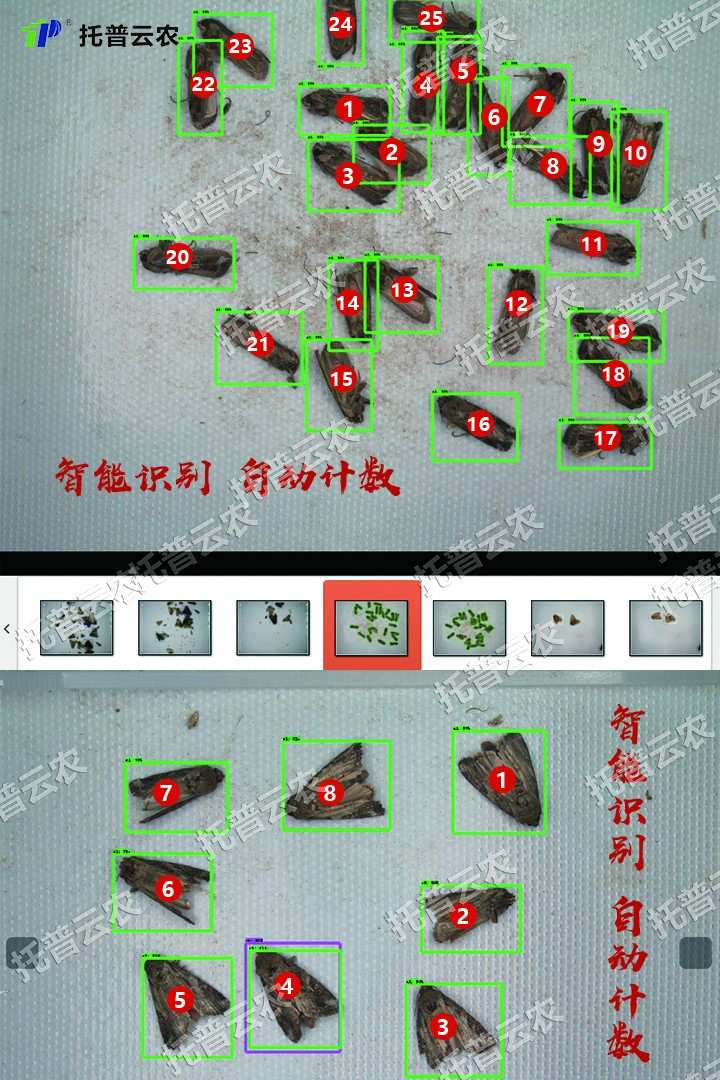自動識別 自動識別