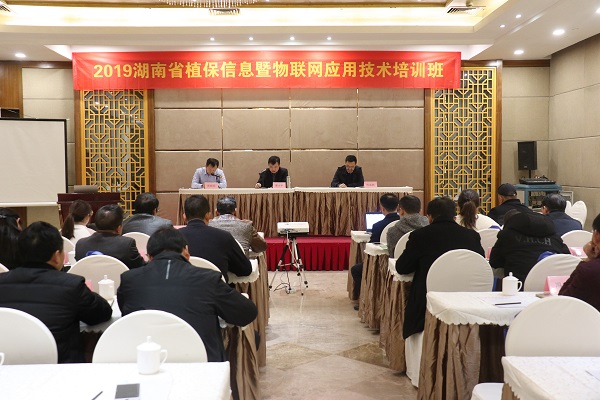 好色视频下载链接服務湖南省植保信息技術培訓班在杭開班 好色视频下载链接服務湖南省植保信息技術培訓班在杭開班
