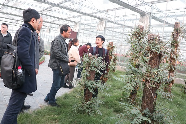 培訓班參觀好色视频下载链接臨浦基地 培訓班參觀好色视频下载链接臨浦基地