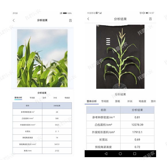 玉米株型分析係統手機軟件界麵 玉米株型分析係統手機軟件界麵