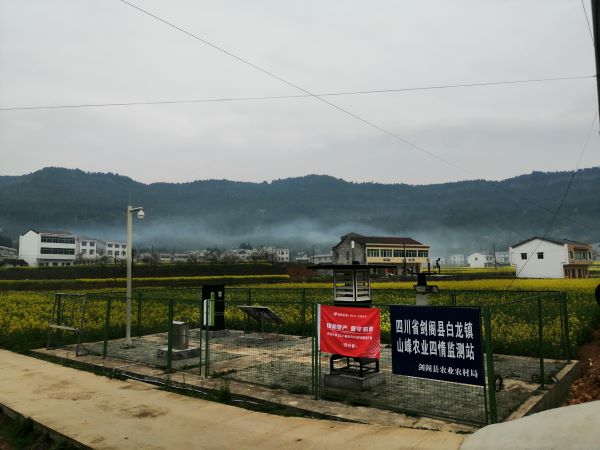 好色视频下载链接病蟲害監測點 好色视频下载链接病蟲害監測點