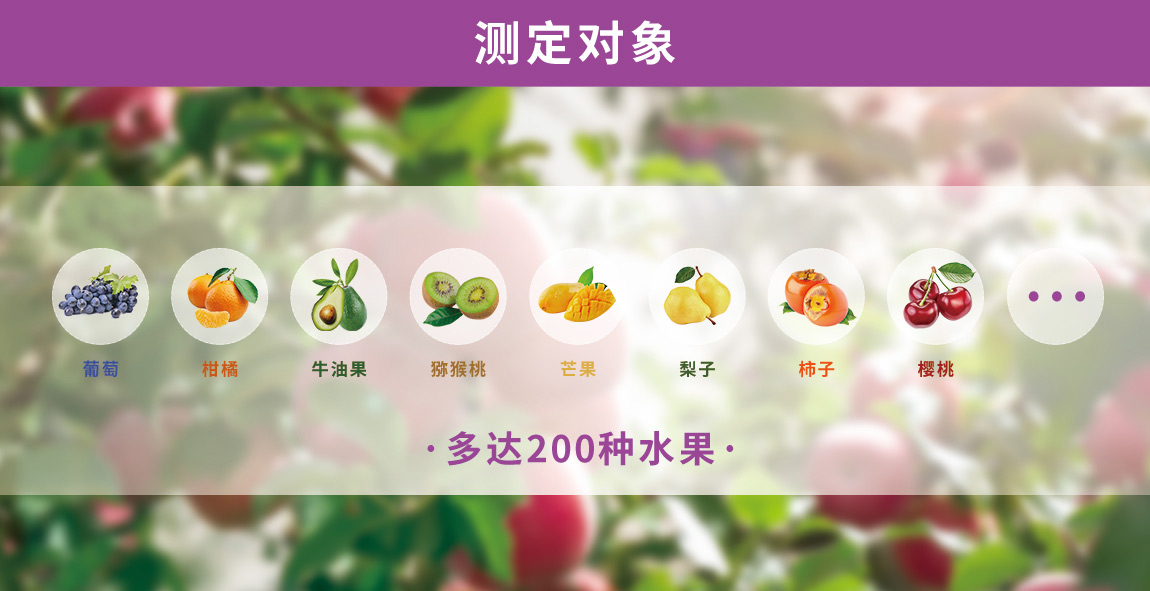 水果品質無損檢測儀測定對象 水果品質無損檢測儀測定對象