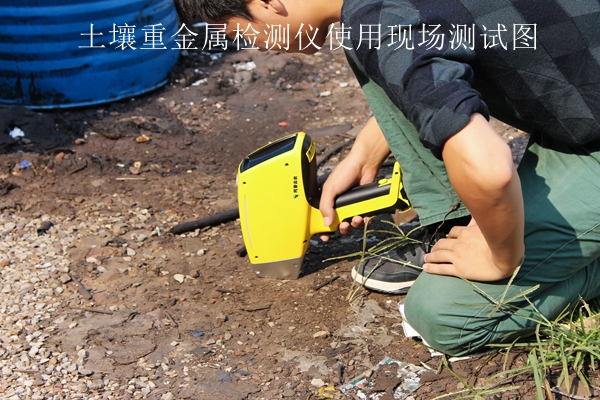 好色视频APP污视频重金屬檢測儀使用現場測試圖 好色视频APP污视频重金屬檢測儀使用現場測試圖
