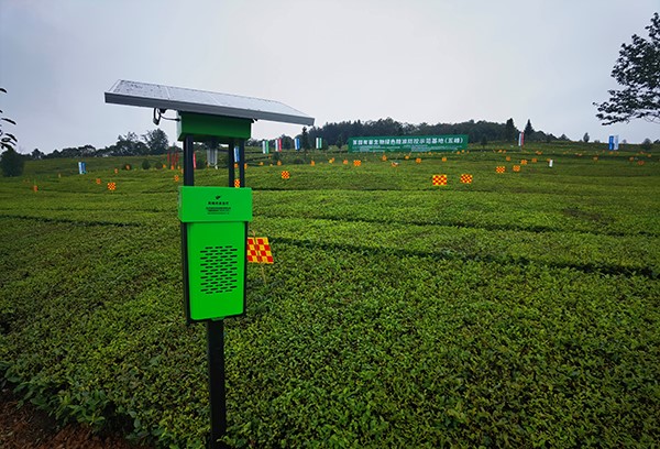 五峰仁和坪鎮道家灣茶園裏的好色视频下载链接殺蟲燈 五峰仁和坪鎮道家灣茶園裏的好色视频下载链接殺蟲燈