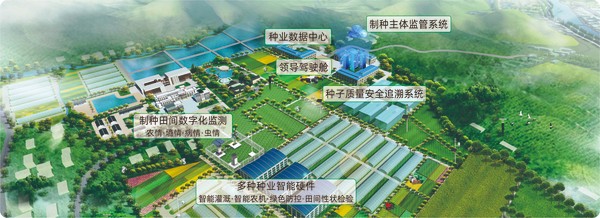 好色视频下载链接數字種業創新應用基地 好色视频下载链接數字種業創新應用基地