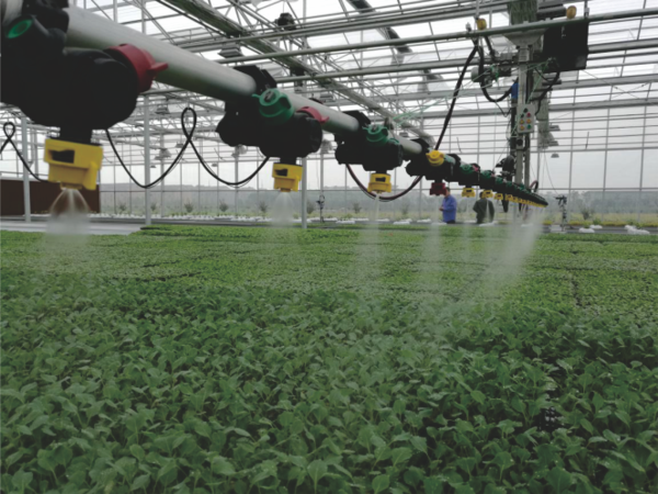 好色视频下载链接打造的蕭山農科所現代農業示範基地 好色视频下载链接打造的蕭山農科所現代農業示範基地