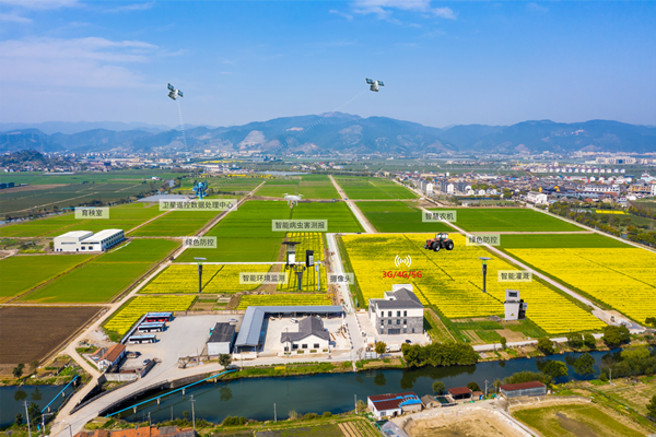 寧波古林數字大田(好色视频下载链接技術支撐建設) 寧波古林數字大田(好色视频下载链接技術支撐建設)