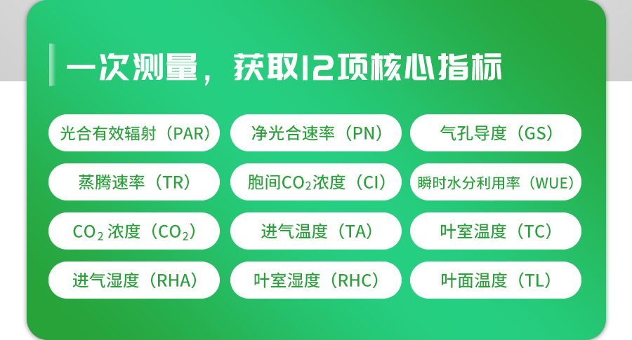 光合作用測定儀 光合作用測定儀