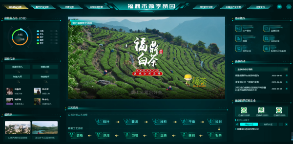 1716885973667659.png 2福鼎數字茶園_副本.png