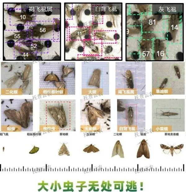 1722588729339883.jpg 圖片2.jpg
